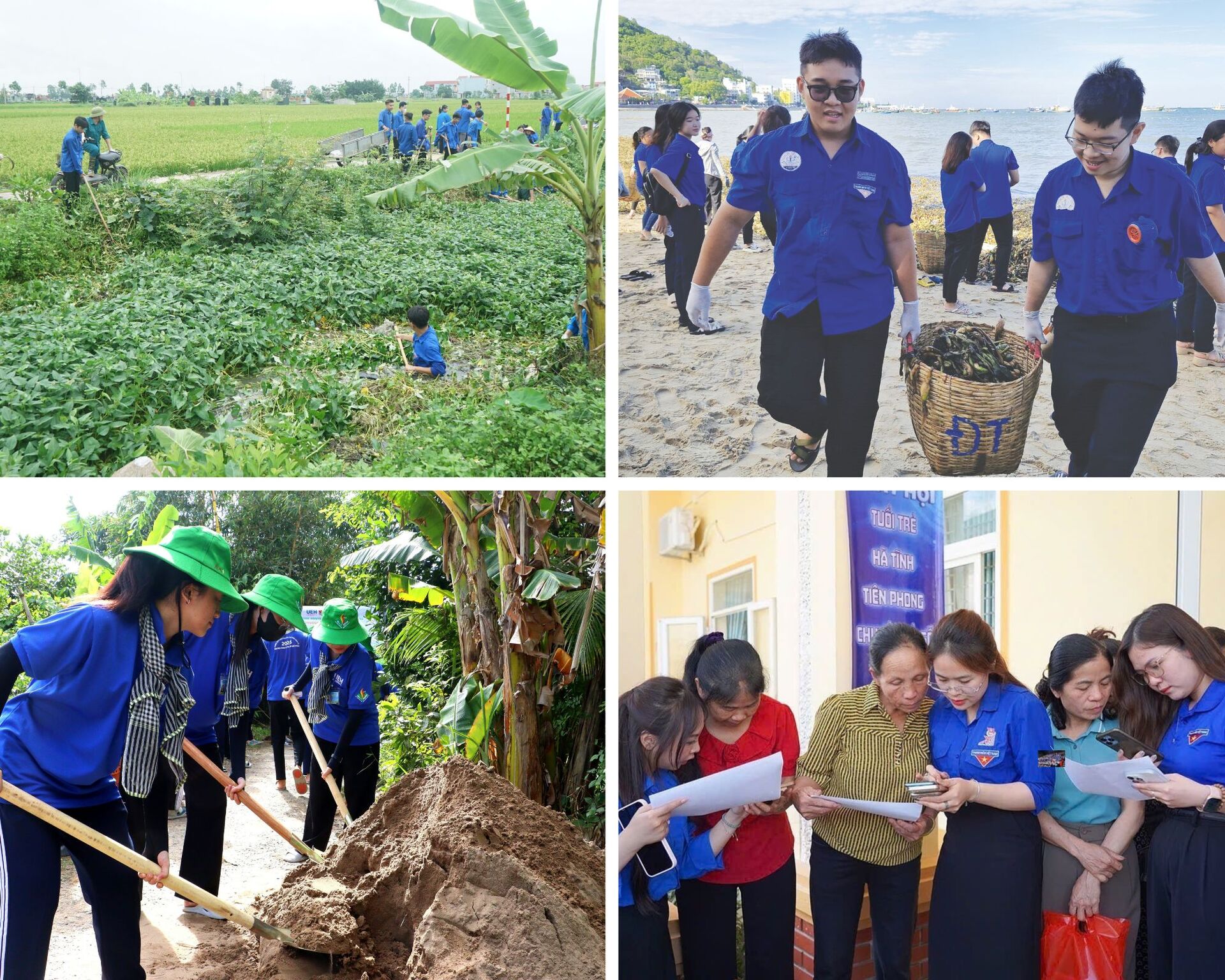 Νεολαία σε δράση, μηχανή εθνικής ανανέωσης