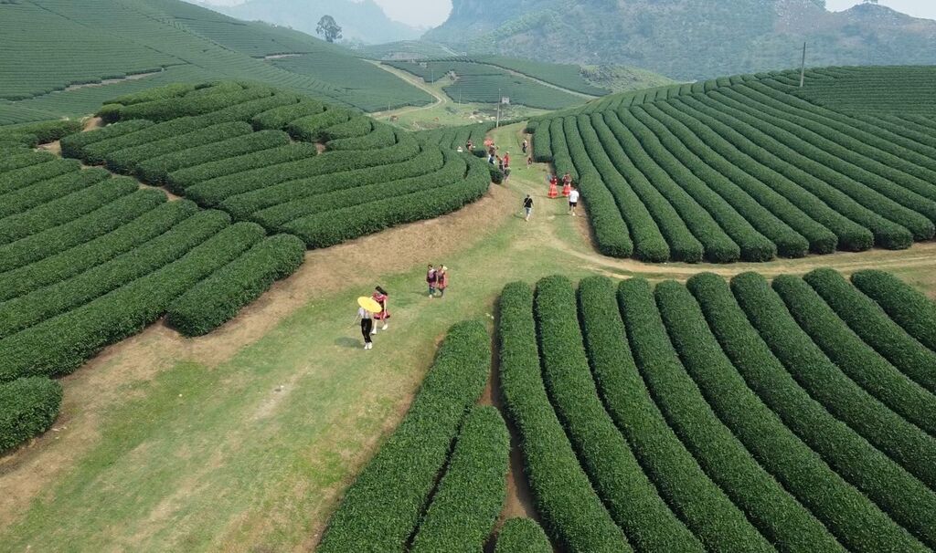 Les voyageurs vietnamiens sont de plus en plus motivés par l’attrait des expériences authentiques et la possibilité de soutenir les communautés locales. (Photo : VNA/ CVN)