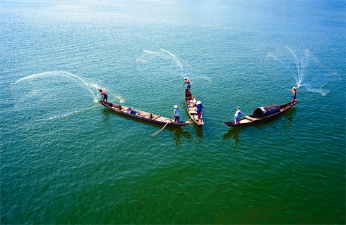 La pêche au lancer de filet dans la rivière.