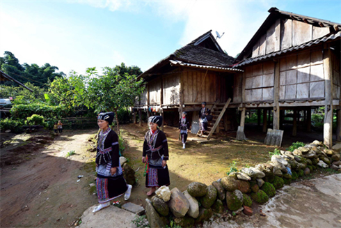 Les 157, maisons sur les pilotis des minorités de l’ethnie Lu sont restées intactes. Photo : Thanh Hà/VNA/CVN