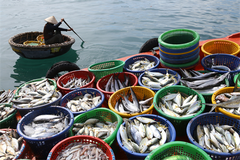 Des produits aquatiques au port d’An Thoi.    