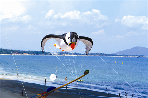 Un aperçu de la plage de Vung Tàu lors du festival.