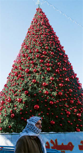 Le grand sapin de Noël dans la ville de Bethléem (Palestine).    