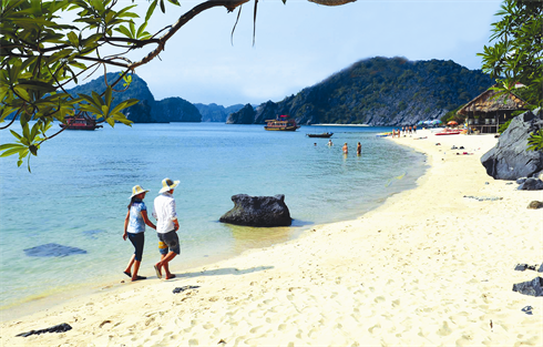 La belle plage de l’île aux singes.