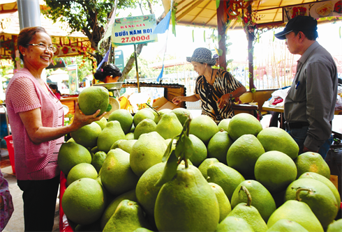 Visiteurs achetant des fruits.