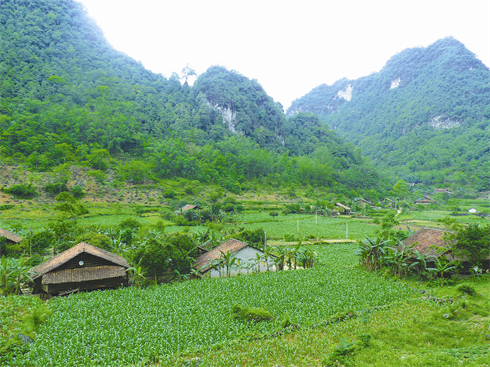 Les montagnes du Nord recèlent de nombreuses maisons traditionnelles.