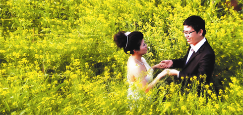 Des amoureux au milieu d’un jardin de fleurs.    