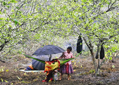 Les enfants attendent le retour des parents partis aux champs.    