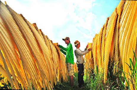 Lôc Hoà est connu pour le séchage des feuilles de palmier.    