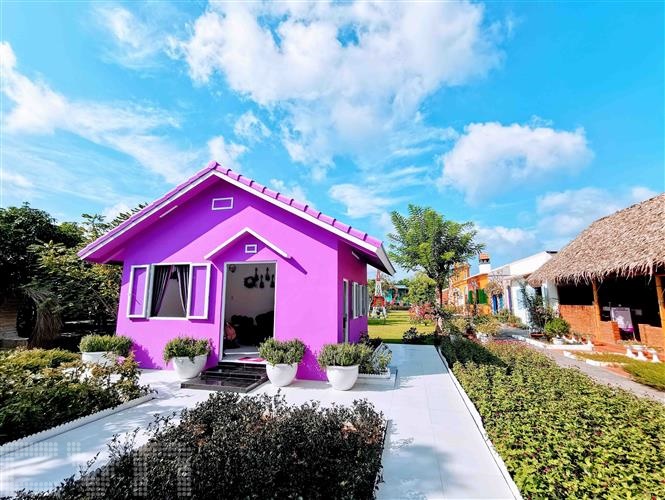 Maison Violette Maison Violette